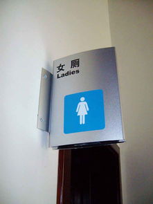 石家莊視覺設(shè)計(jì)的專業(yè)標(biāo)桿與環(huán)境品牌賦能